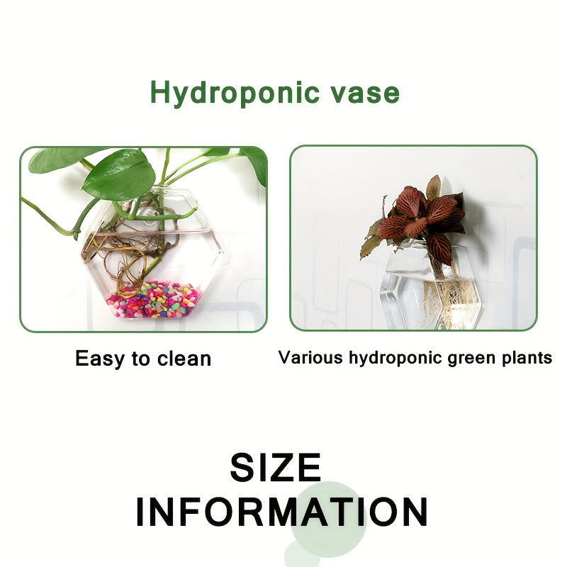 Wall Mounted Glass Planter Set - Hydroponic Plant Vase for Couples' Home | The Couple Corner