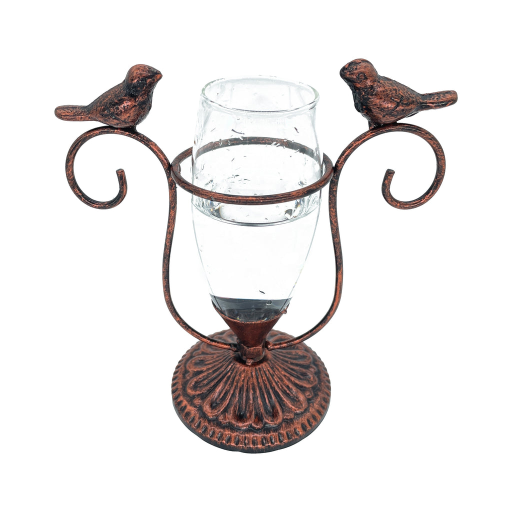 Romantic Bird Terrarium for Couples - Vintage Iron Frame Glass Planter for Shared Desks & Home Gardens