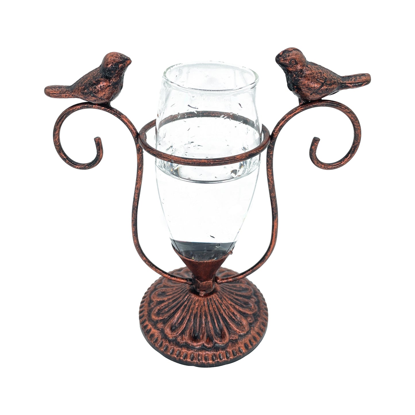 Bird Terrarium - Vintage Iron Frame Glass Planter for Hydroponic Plants | The Couple Corner