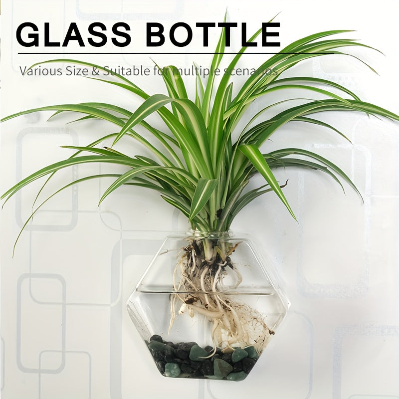 Wall Mounted Glass Planter Set - Hydroponic Plant Vase for Couples' Home | The Couple Corner