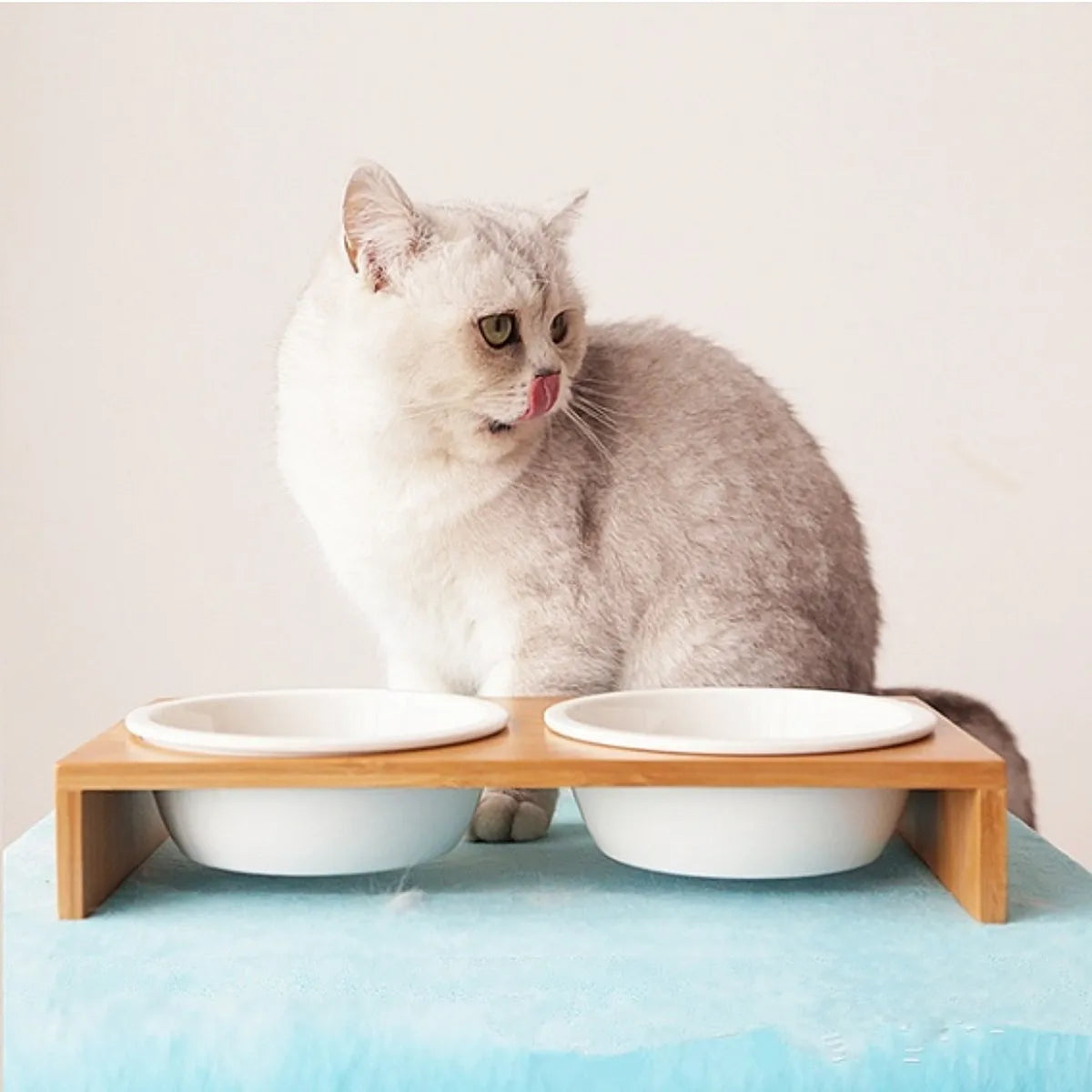 Ceramic Pet Bowl with Bamboo Frame - Anti-Slip Food & Water Bowl for Cats & Dogs | Pet Feeding Bowl The Couple Corner