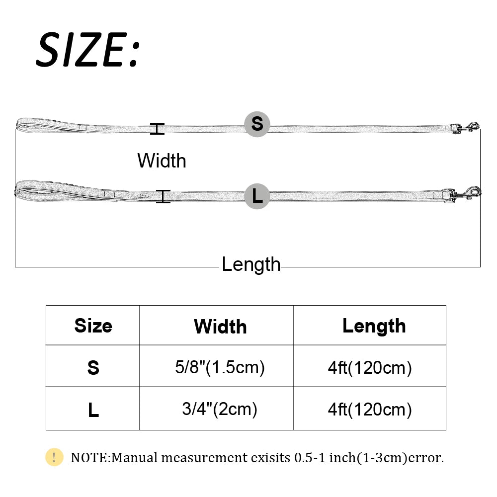 Didog 4ft Double Layer Leather Dog Leash - Padded Handle for Medium & Large Dogs | Dog Leash The Couple Corner