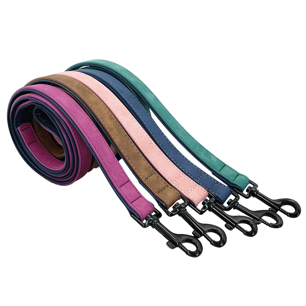 Didog 4ft Double Layer Leather Dog Leash - Padded Handle for Medium & Large Dogs | Dog Leash The Couple Corner