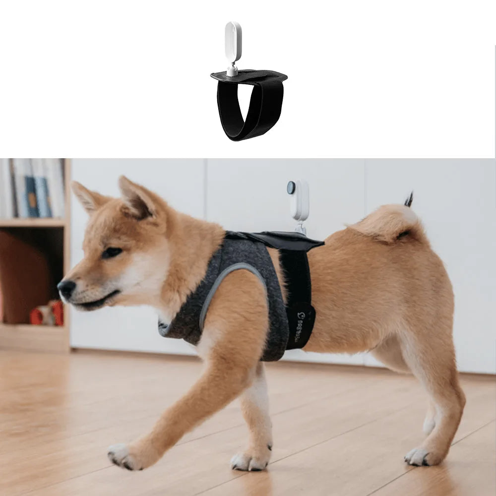 Insta360 Sport Bundle - Adventure Mounts for Active Couples | Camera Accessories The Couple Corner