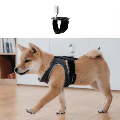 Insta360 Sport Bundle - Adventure Mounts for Active Couples | Camera Accessories The Couple Corner