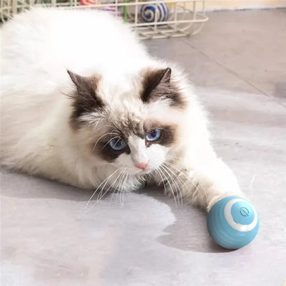 Cat Interactive Electric Ball Toy