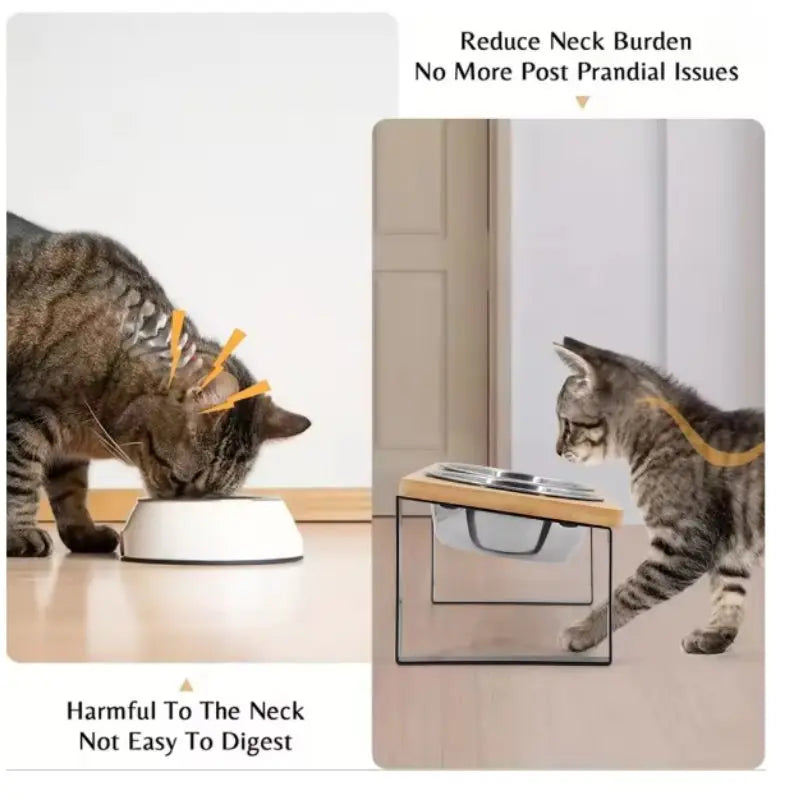 Elevated Cat Bowls - 15° Tilted Raised Stand with Stainless Steel Bowls | Pet Feeding Bowl The Couple Corner