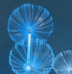 Romantic Jellyfish Fiber Optic Lamp - Color-Changing Mood Light for Couples' Bedroom & Date Night Ambiance
