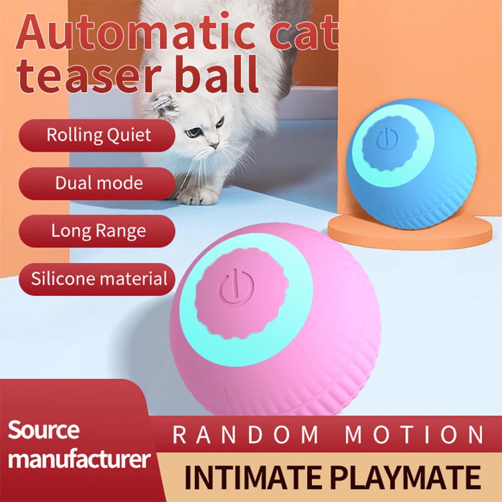 Interactive Cat Toy Ball - Hide and Seek Kitten Toy