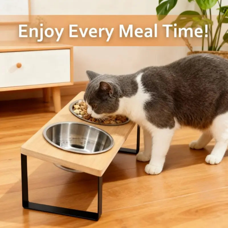 Elevated Cat Bowls - 15° Tilted Raised Stand with Stainless Steel Bowls | Pet Feeding Bowl The Couple Corner