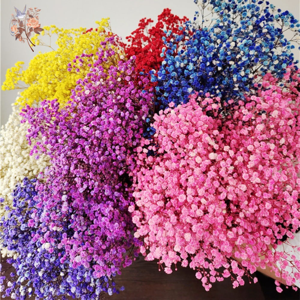 Dried Baby's Breath Bouquet - Wedding & Anniversary Decor - | The Couple Corner