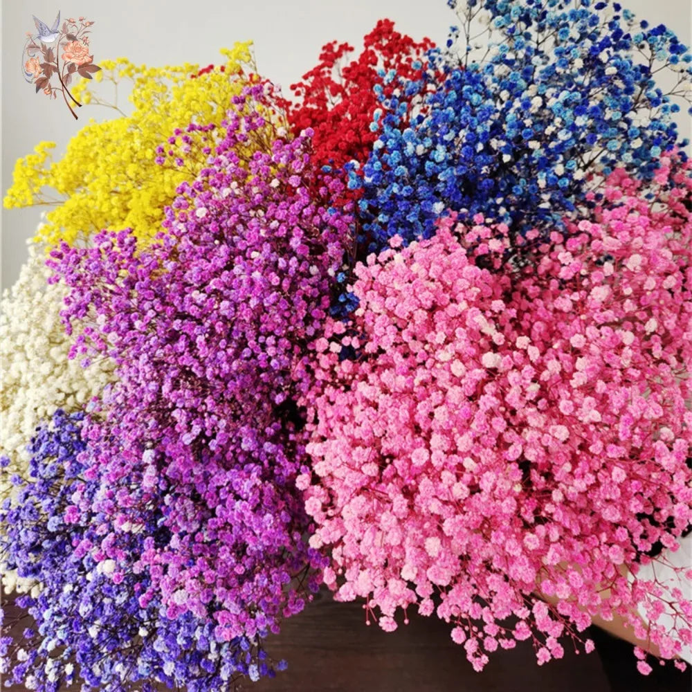 Dried Baby's Breath Bouquet - Wedding & Anniversary Decor - | The Couple Corner