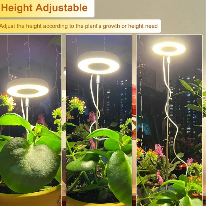Full Spectrum LED Grow Light with Timer - Adjustable Dimmable Plant Lamp for Indoor Hydroponics | The Couple Corner