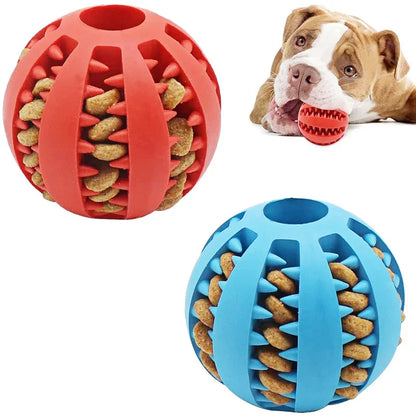 Oral Hygiene Dog Ball Toy - Dental Care During Playtime