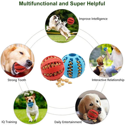 Oral Hygiene Dog Ball Toy - Dental Care During Playtime