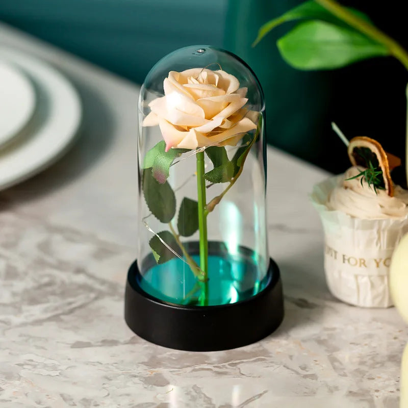 Eternal Rose with LED Light in Acrylic Cover - Valentine's & Anniversary Gift - champagne | The Couple Corner