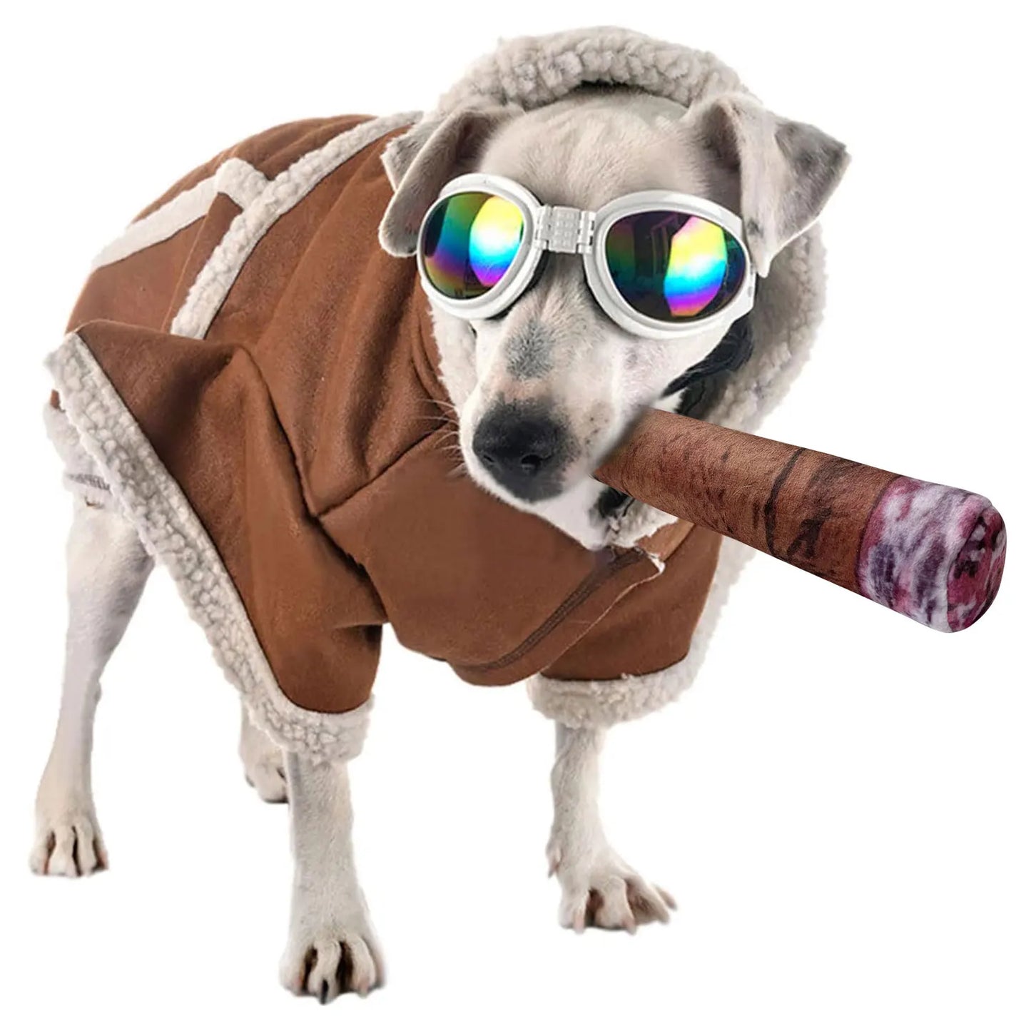 Squeaky Plush Dog Toy - Interactive Cotton-Filled Toy for All Dog Sizes | Dog Toy The Couple Corner