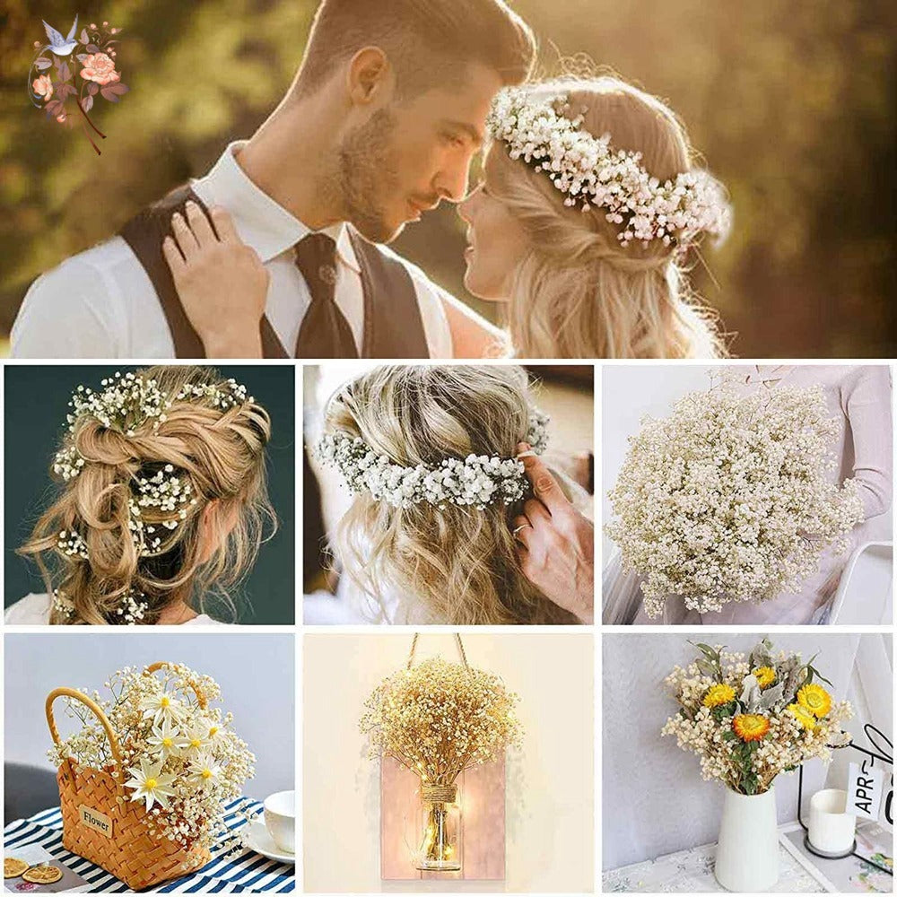 Dried Baby's Breath Bouquet - Wedding & Anniversary Decor - | The Couple Corner
