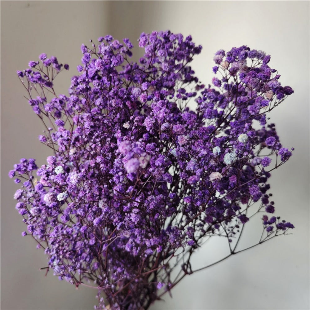 Dried Baby's Breath Bouquet - Wedding & Anniversary Decor - | The Couple Corner