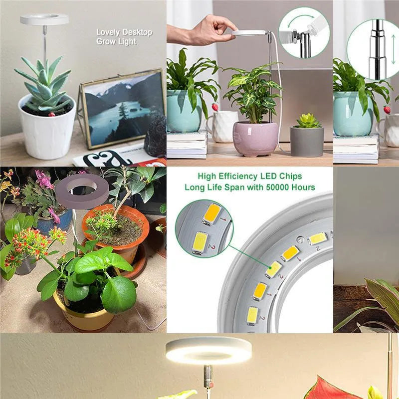Full Spectrum LED Grow Light with Timer - Adjustable Dimmable Plant Lamp for Indoor Hydroponics | The Couple Corner