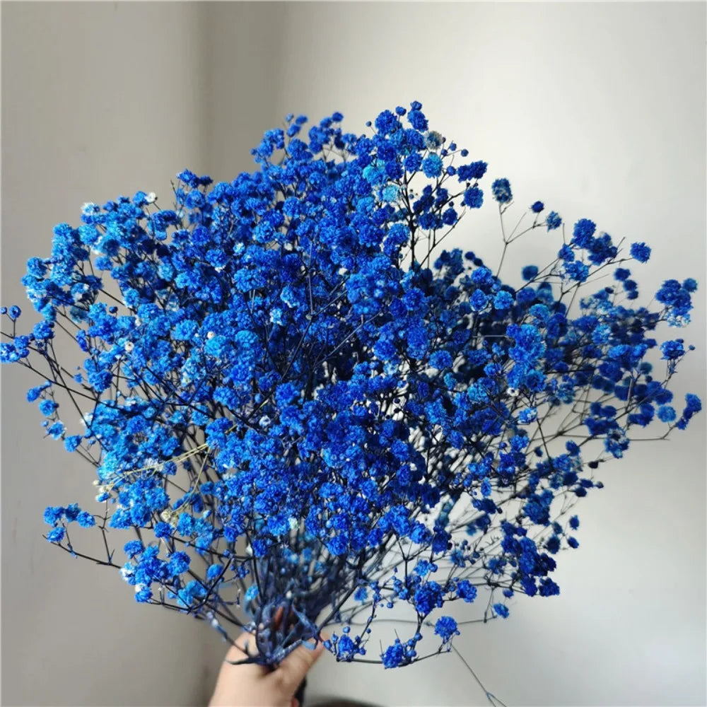 Dried Baby's Breath Bouquet - Wedding & Anniversary Decor - Royal Blue | The Couple Corner