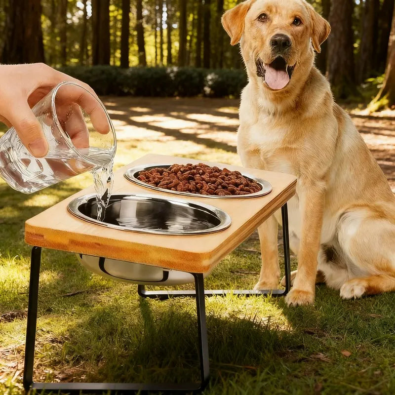 Elevated Cat Bowls - 15° Tilted Raised Stand with Stainless Steel Bowls | Pet Feeding Bowl The Couple Corner