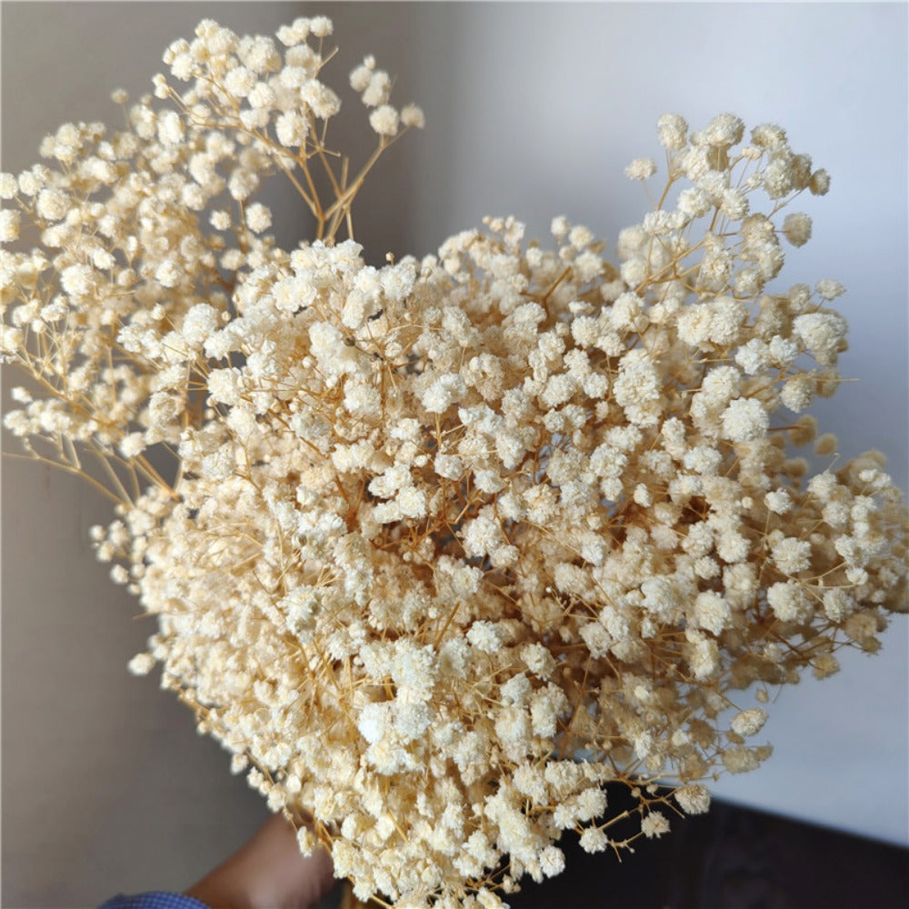 Dried Baby's Breath Bouquet - Wedding & Anniversary Decor - | The Couple Corner