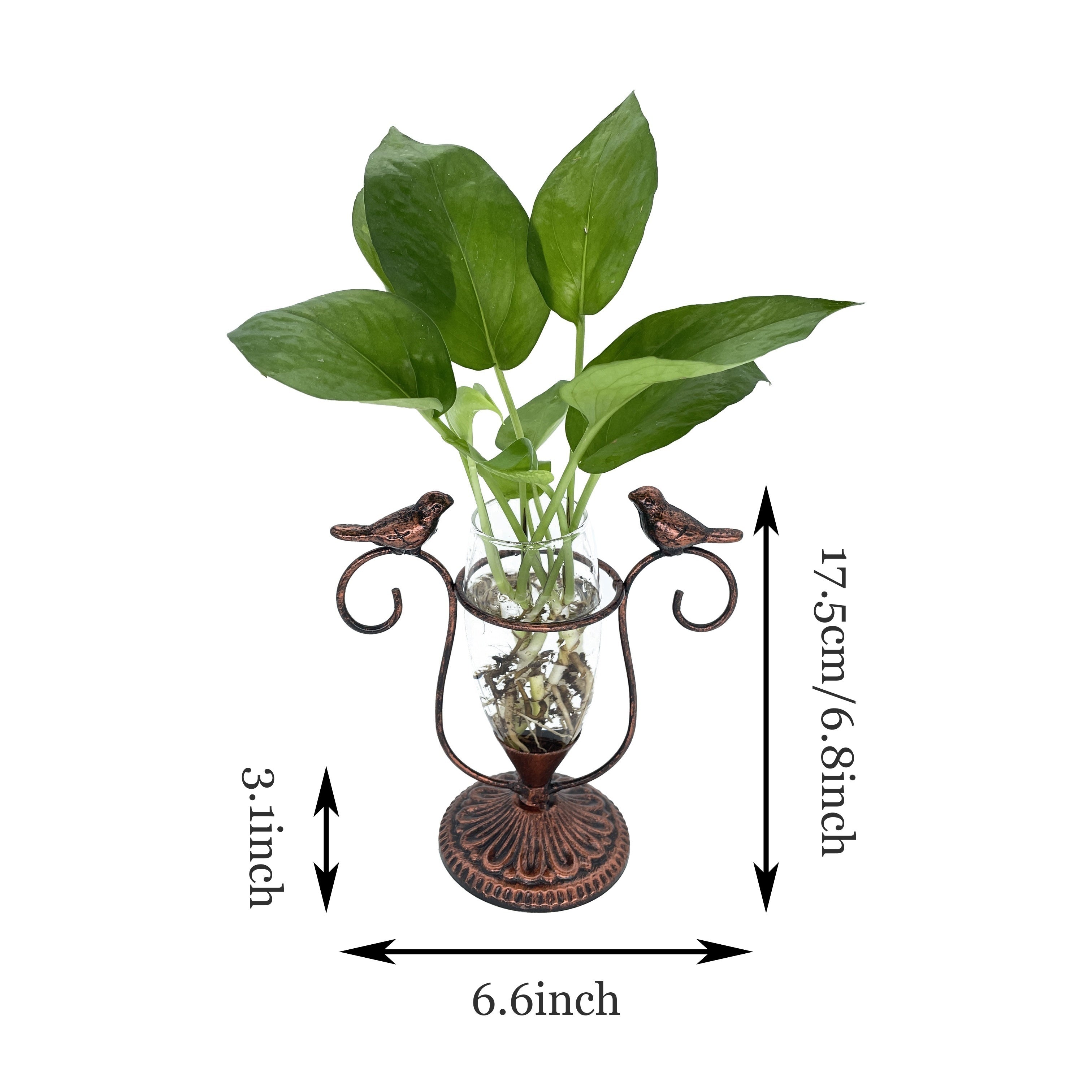 Romantic Bird Terrarium for Couples - Vintage Iron Frame Glass Planter for Shared Desks & Home Gardens