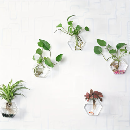 Wall Mounted Glass Planter Set - Hydroponic Plant Vase for Couples' Home | The Couple Corner