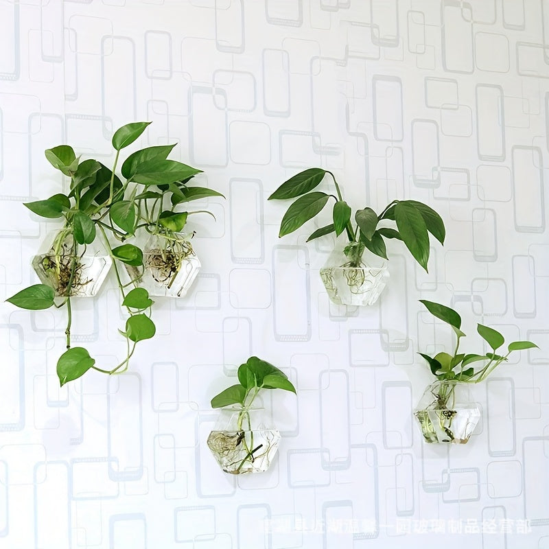 Wall Mounted Glass Planter Set - Hydroponic Plant Vase for Couples' Home | The Couple Corner