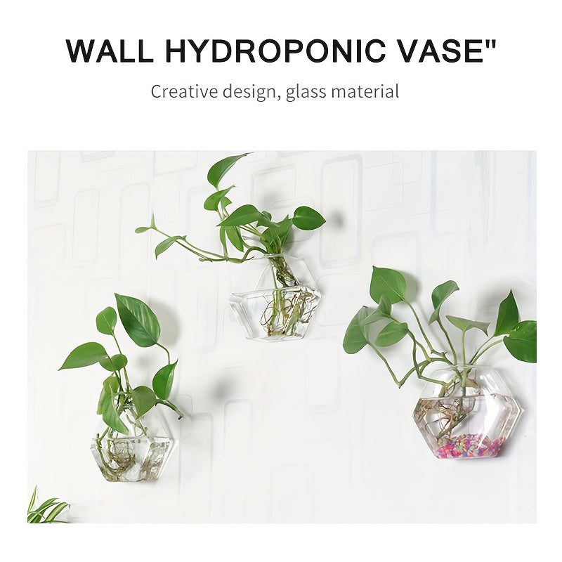 Wall Mounted Glass Planter Set - Hydroponic Plant Vase for Couples' Home | The Couple Corner