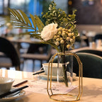 Modern Hydroponic Vase for Couples - Golden Metal Frame Glass Planter for Shared Desks, Dried Florals & Growing Your Love