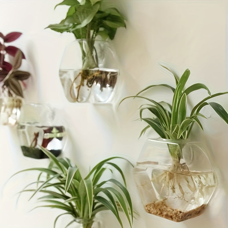 Wall Mounted Glass Planter Set - Hydroponic Plant Vase for Couples' Home | The Couple Corner