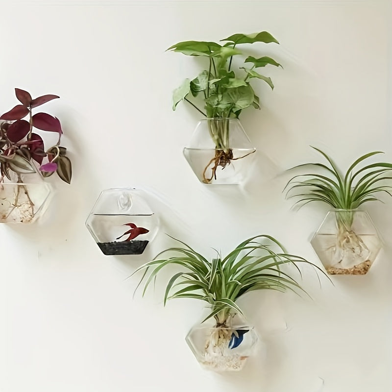 Wall Mounted Glass Planter Set - Hydroponic Plant Vase for Couples' Home | The Couple Corner